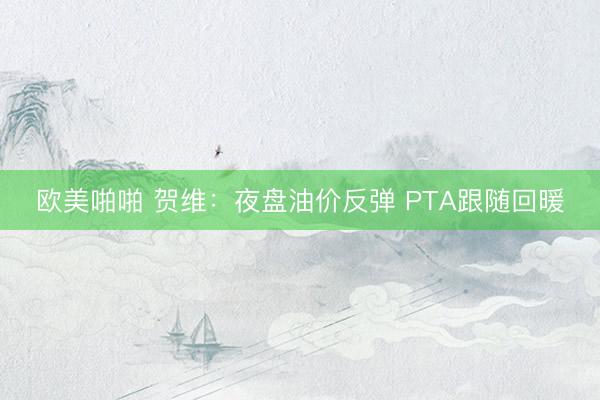 欧美啪啪 贺维：夜盘油价反弹 PTA跟随回暖