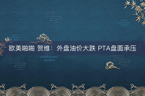 欧美啪啪 贺维：外盘油价大跌 PTA盘面承压