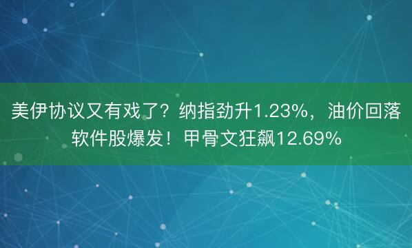 美伊协议又有戏了？纳指劲升1.23%，油价回落软件股爆发！甲骨文狂飙12.69%