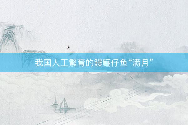 我国人工繁育的鳗鲡仔鱼“满月”