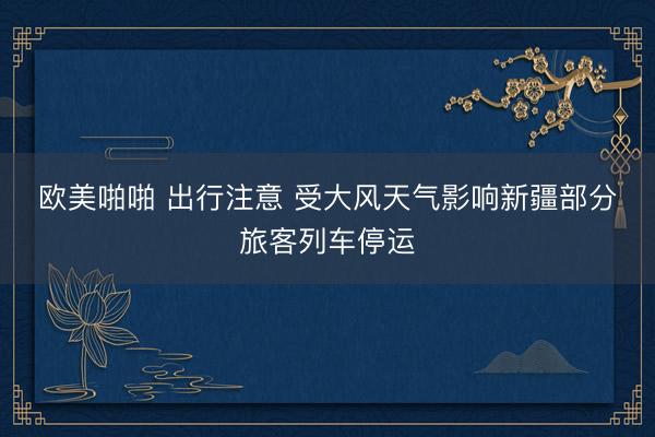 欧美啪啪 出行注意 受大风天气影响新疆部分旅客列车停运