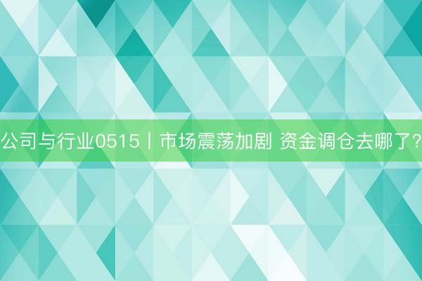 公司与行业0515丨市场震荡加剧 资金调仓去哪了？