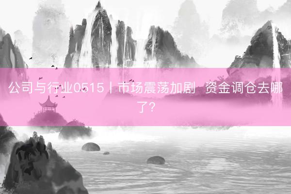 公司与行业0515丨市场震荡加剧 资金调仓去哪了?