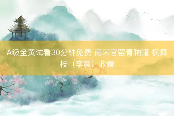 A级全黄试看30分钟免费 南宋官窑青釉罐 枫舞枝（李震）收藏