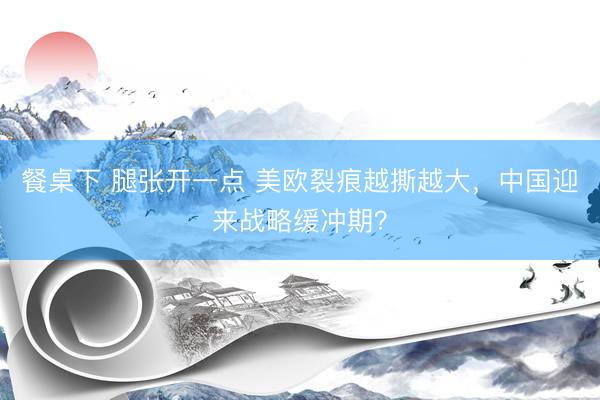 餐桌下 腿张开一点 美欧裂痕越撕越大，中国迎来战略缓冲期？