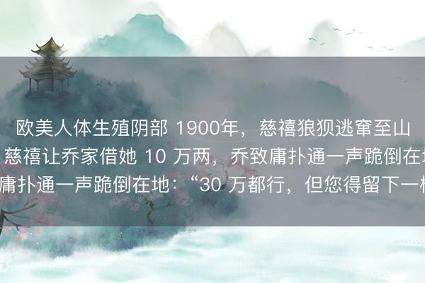 欧美人体生殖阴部 1900年，慈禧狼狈逃窜至山西首富乔家，临行时，慈禧让乔家借她 10 万两，乔致庸扑通一声跪倒在地：“30 万都行，但您得留下一样东西。
