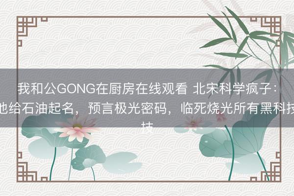 我和公GONG在厨房在线观看 北宋科学疯子：他给石油起名，预言极光密码，临死烧光所有黑科技