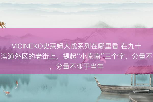 VICINEKO史莱姆大战系列在哪里看 在九十年代哈尔滨道外区的老街上，提起“小南南”三个字，分量不亚于当年