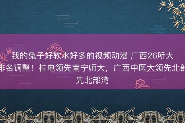 我的兔子好软水好多的视频动漫 广西26所大学排名调整!桂电领先南宁师大,广西中医大领先北部湾