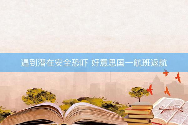遇到潜在安全恐吓 好意思国一航班返航