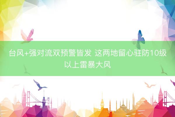 台风+强对流双预警皆发 这两地留心驻防10级以上雷暴大风