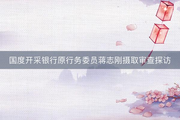 国度开采银行原行务委员蒋志刚摄取审查探访