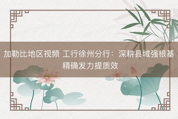 加勒比地区视频 工行徐州分行：深耕县域强根基 精确发力提质效