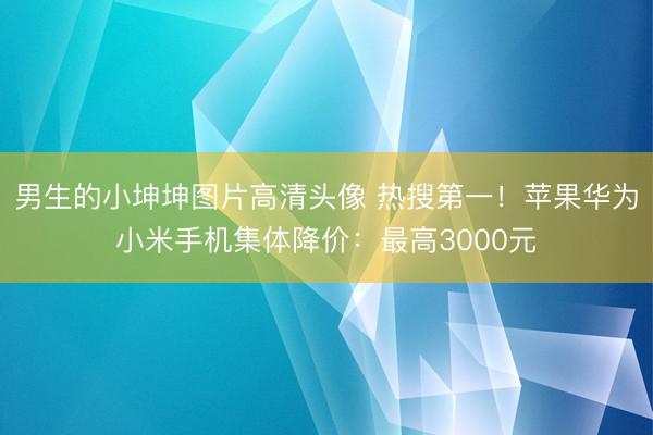 男生的小坤坤图片高清头像 热搜第一！苹果华为小米手机集体降价：最高3000元