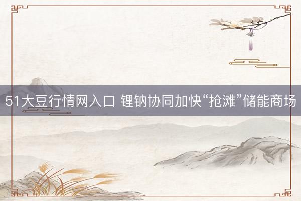 51大豆行情网入口 锂钠协同加快“抢滩”储能商场