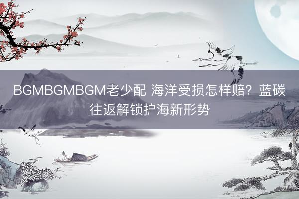 BGMBGMBGM老少配 海洋受损怎样赔?蓝碳往返解锁护海新形势