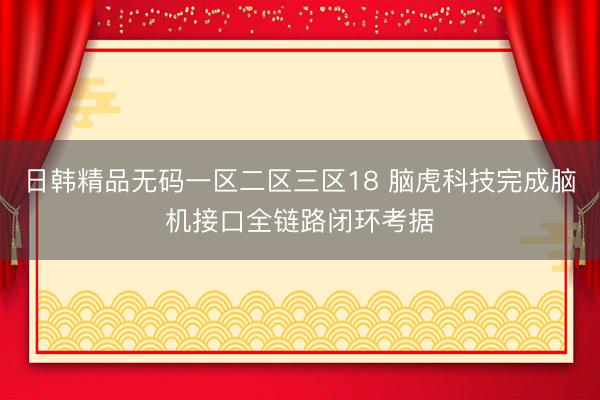 日韩精品无码一区二区三区18 脑虎科技完成脑机接口全链路闭环考据