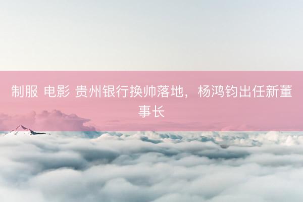 制服 电影 贵州银行换帅落地,杨鸿钧出任新董事长