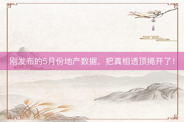 刚发布的5月份地产数据，把真相透顶揭开了！