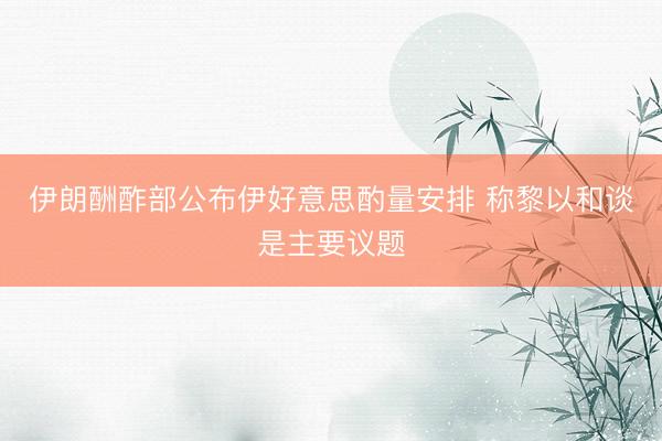伊朗酬酢部公布伊好意思酌量安排 称黎以和谈是主要议题