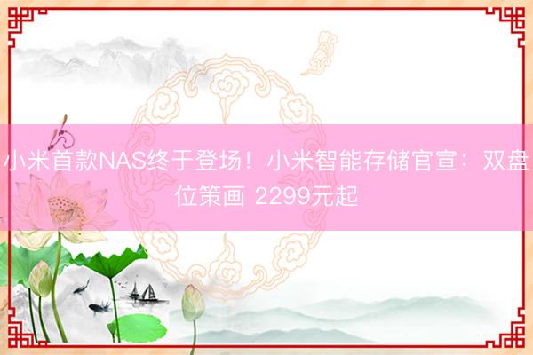 小米首款NAS终于登场！小米智能存储官宣：双盘位策画 2299元起
